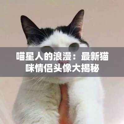 喵星人的浪漫:最新猫咪情侣头像大揭秘