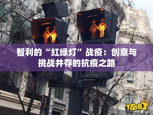 智利的“红绿灯”战疫:创意与挑战并存的抗疫之路