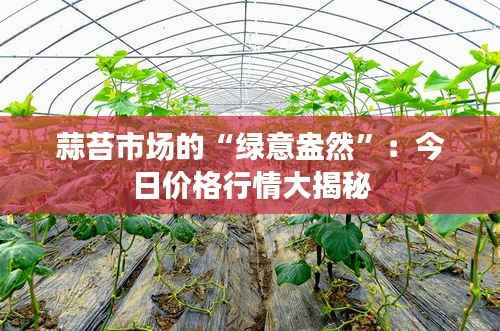 蒜苔市场的“绿意盎然”:今日价格行情大揭秘