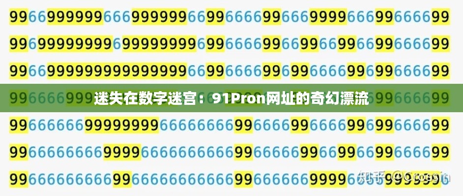 迷失在数字迷宫:91Pron网址的奇幻漂流