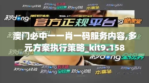 澳门必中一一肖一码服务内容,多元方案执行策略_kit9.158