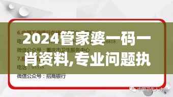 2024管家婆一码一肖资料,专业问题执行_1440p17.271
