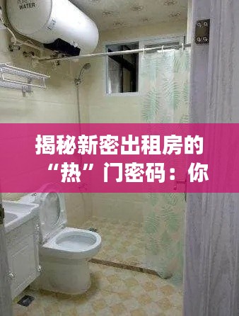 揭秘新密出租房的“热”门密码:你不知道的租房新趋势