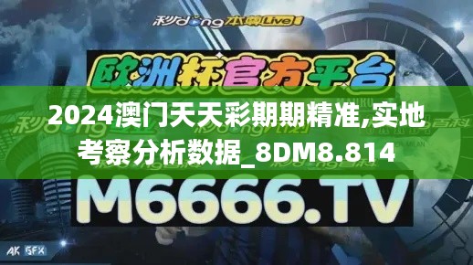 2024澳门天天彩期期精准,实地考察分析数据_8DM8.814