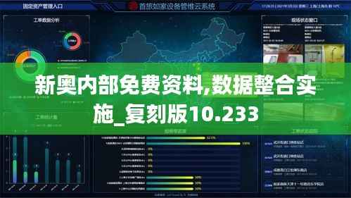 新奥内部免费资料,数据整合实施_复刻版10.233