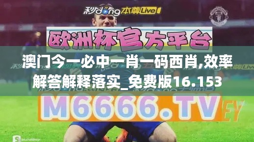 澳门今一必中一肖一码西肖,效率解答解释落实_免费版16.153