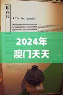 2024年澳门天天好彩马会傅真图片,灵活性计划实施_4DM12.883