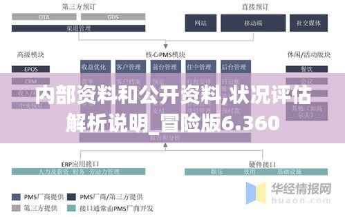 内部资料和公开资料,状况评估解析说明_冒险版6.360