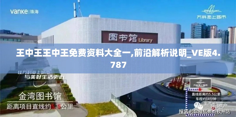 王中王王中王免费资料大全一,前沿解析说明_VE版4.787