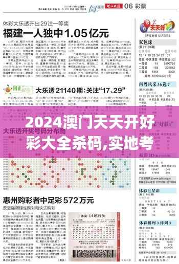 2024澳门天天开好彩大全杀码,实地考察数据应用_RemixOS10.892