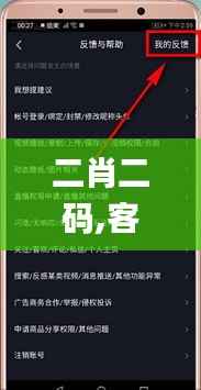 二肖二码,客户反馈分析落实_XE版8.641