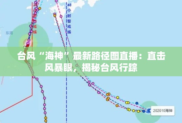台风“海神”最新路径图直播：直击风暴眼，揭秘台风行踪