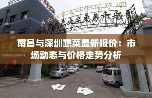 南昌与深圳蔬菜最新报价：市场动态与价格走势分析