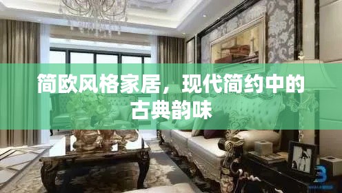 百鸟齐鸣 第4页