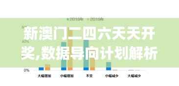 新澳门二四六天天开奖,数据导向计划解析_粉丝款9.246