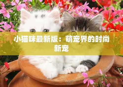 小猫咪最新版:萌宠界的时尚新宠