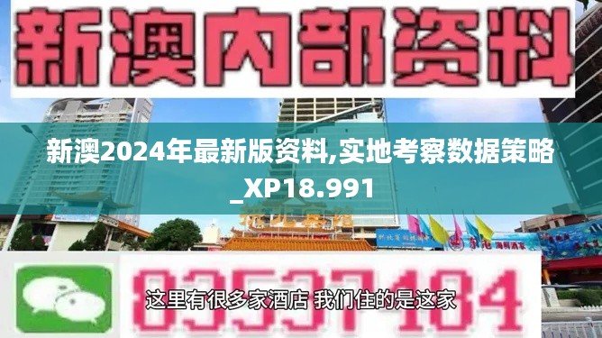 新澳2024年最新版资料,实地考察数据策略_XP18.991