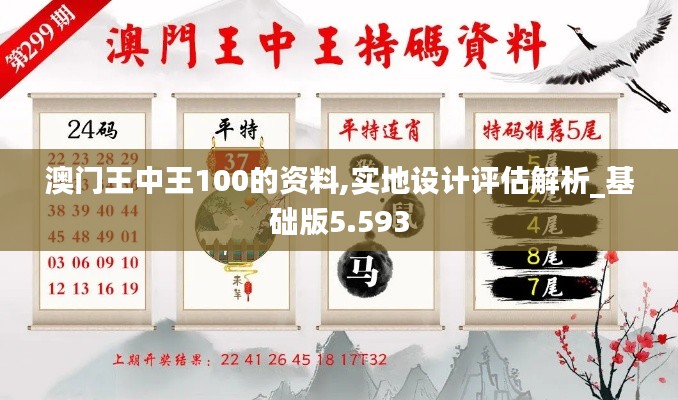 澳门王中王100的资料,实地设计评估解析_基础版5.593