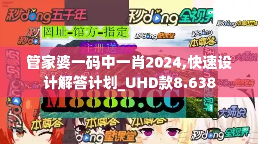管家婆一码中一肖2024,快速设计解答计划_UHD款8.638