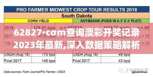 62827·cσm查询澳彩开奖记录2023年最新,深入数据策略解析_VIP7.456