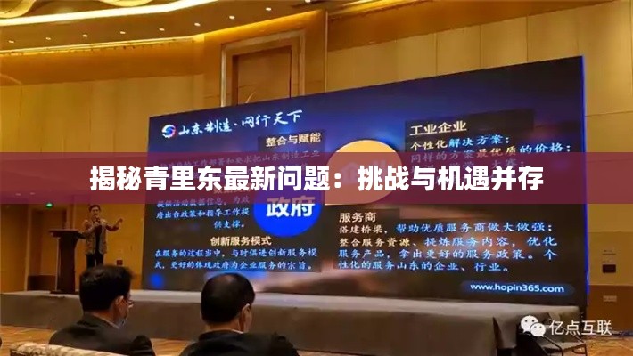 揭秘青里东最新问题:挑战与机遇并存