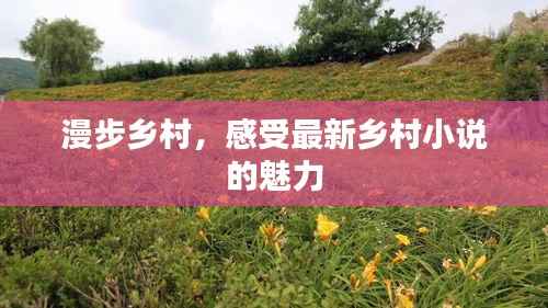 漫步乡村,感受最新乡村小说的魅力