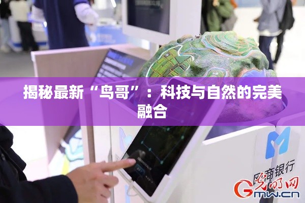 揭秘最新“鸟哥”:科技与自然的完美融合