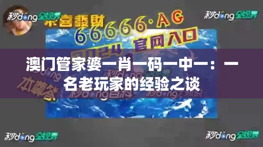 澳门管家婆一肖一码一中一：一名老玩家的经验之谈