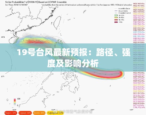19号台风最新预报：路径、强度及影响分析