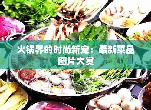 火锅界的时尚新宠:最新菜品图片大赏