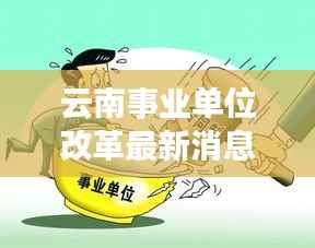 云南事业单位改革最新消息：深化变革，激发活力