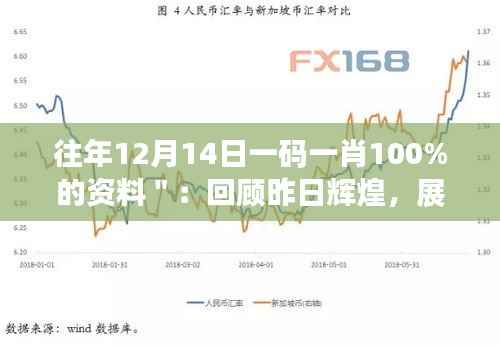 往年12月14日一码一肖100%的资料":回顾昨日辉煌,展望今日可能