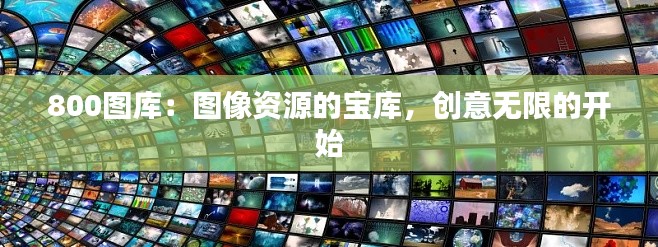 800图库：图像资源的宝库，创意无限的开始