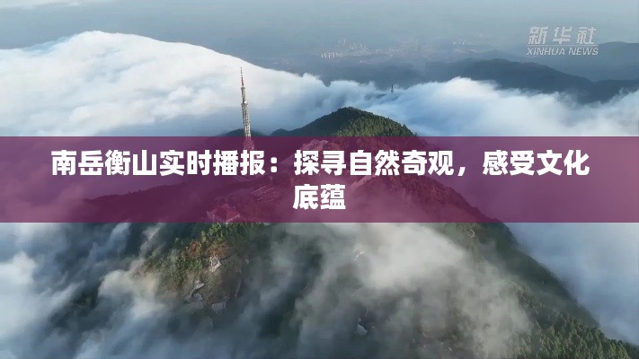 坌鸟先飞 第4页