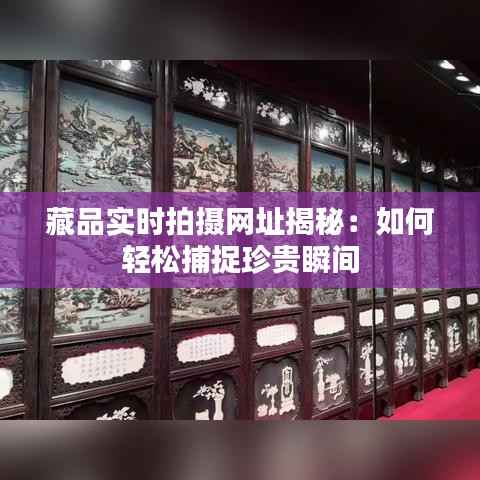 藏品实时拍摄网址揭秘:如何轻松捕捉珍贵瞬间