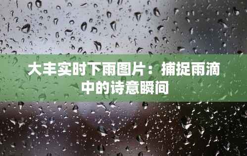 大丰实时下雨图片：捕捉雨滴中的诗意瞬间