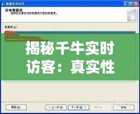 揭秘千牛实时访客：真实性与使用技巧全解析