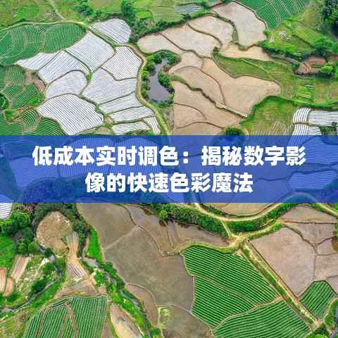 低成本实时调色:揭秘数字影像的快速色彩魔法