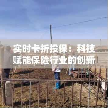 实时卡折投保:科技赋能保险行业的创新之路