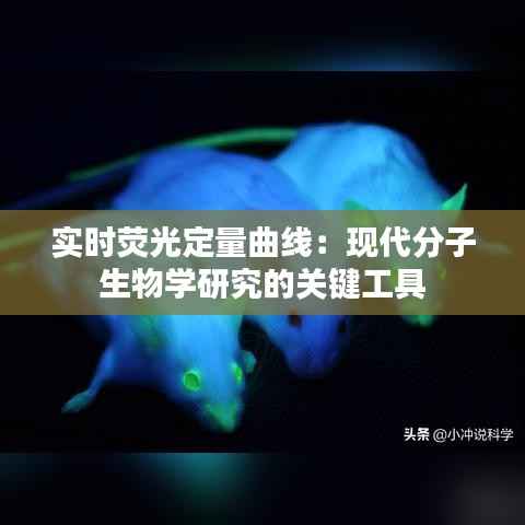 实时荧光定量曲线:现代分子生物学研究的关键工具