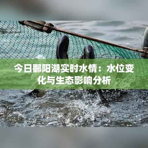 今日鄱阳湖实时水情:水位变化与生态影响分析