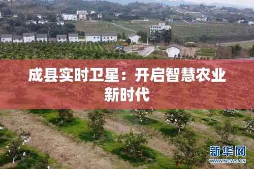 接连不断 第3页