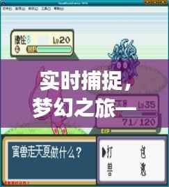 实时捕捉，梦幻之旅——揭秘神奇宝贝的实时互动体验