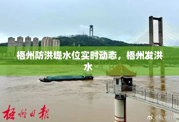 梧州防洪堤水位实时动态，梧州发洪水 