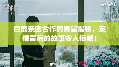 白鹿亲密合作的男星揭秘，友情背后的故事令人惊艳！