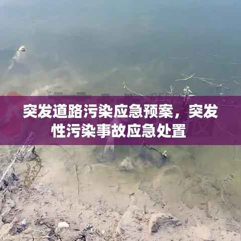 突发道路污染应急预案，突发性污染事故应急处置 