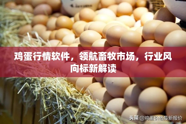 鸡蛋行情软件,领航畜牧市场,行业风向标新解读