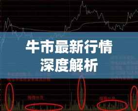 高不成低不就 第3页