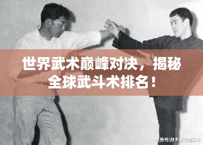 世界武术巅峰对决，揭秘全球武斗术排名！