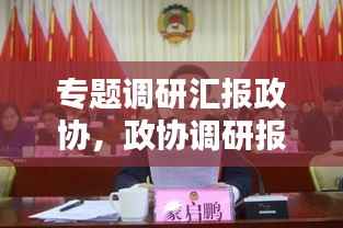 专题调研汇报政协,政协调研报告的重要性